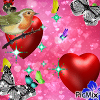 Spectacle d'oiseaux - Free animated GIF