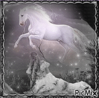 Contest-"Le cheval de mes rêves (tons gris)" - GIF animado gratis
