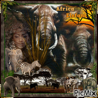 éléphant africa animovaný GIF
