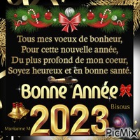 Meilleurs Voeux 2023 Animated GIF