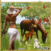 dame et cheval Animated GIF