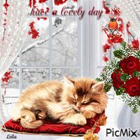 Have a lovely winter day. Cat sleeping. Window - Бесплатни анимирани ГИФ