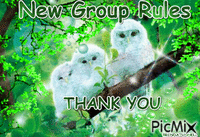 GROUP RULES animeret GIF