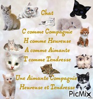 Poème sur le mot "Chat" - Bezmaksas animēts GIF