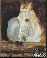 caballo blanco Gasela. Pintado por Toulouse-Lautrec - GIF animado grátis