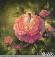 Rosa cor de ros - GIF animado grátis