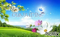 Gunaydin - Ücretsiz animasyonlu GIF