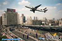 egypt kairo police car fire airplane town GIF animé