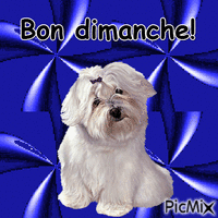bon dimanche - Darmowy animowany GIF