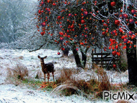 Biche, pommes et neige... - GIF animado gratis