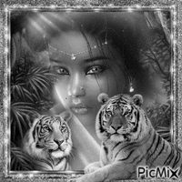 woman and tigers - Безплатен анимиран GIF