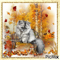 Autumn cat - Besplatni animirani GIF