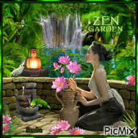 Zen garden !