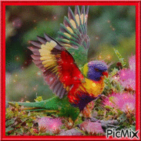 bel oiseau - Nemokamas animacinis gif