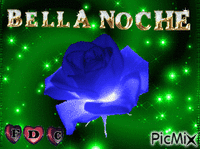 BELLA NOCHE - GIF animé gratuit
