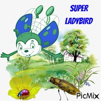 Super Ladybird анимированный гифка