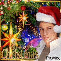 Shahrukh Khan und Weihnachten - 免费动画 GIF