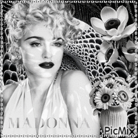 Madonna - Бесплатный анимированный гифка
