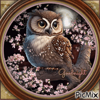 goodnight Owls-RM-08-23-23