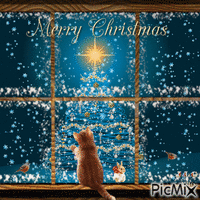 Merry Christmas Window Kitten - GIF animé gratuit