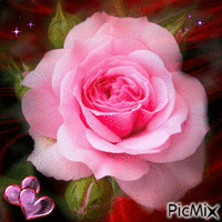 rose - Nemokamas animacinis gif