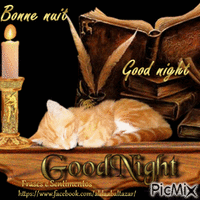 Boa noite/Good Night/Bonne Nuit GIF animado