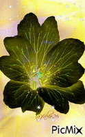 Creating a Flower - Bezmaksas animēts GIF