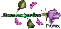 Buenas Tardes - GIF animado gratis