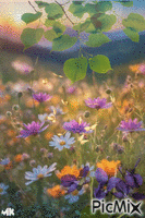 Flores en el campo geanimeerde GIF