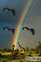 giraf gieren en een regenboog - Бесплатный анимированный гифка