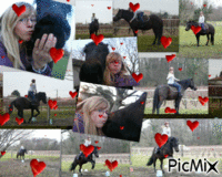 mon cheval et moi - GIF animate gratis