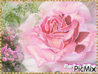 pink love - GIF animado grátis