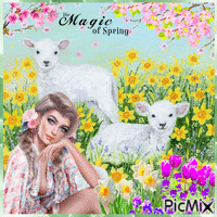 The Magic of Spring 3