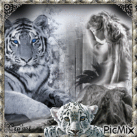 Her and the tigers - Безплатен анимиран GIF