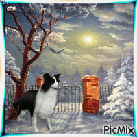 Zimska noc - GIF animasi gratis