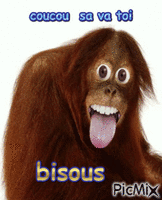 bisou - GIF animé gratuit