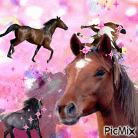 silly silly horse world - Kostenlose animierte GIFs
