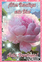 Flor Rosada animuotas GIF
