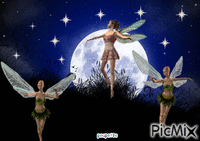 la danse des fées - Animovaný GIF zadarmo
