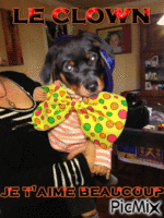 le chien clown - GIF animate gratis