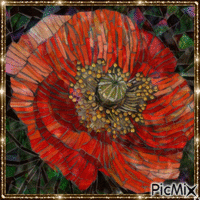 Mosaic Poppy animovaný GIF