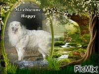 Ma chienne Happy アニメーションGIF