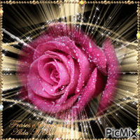 Rosa animasyonlu GIF
