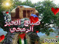 صباح - Бесплатный анимированный гифка