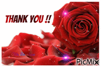 Thank you!! - Darmowy animowany GIF