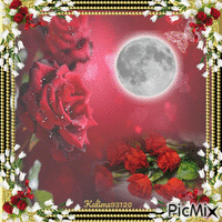 la lune et la rose