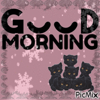 gm goodmorning   goede morgen animowany gif