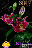 lili - Darmowy animowany GIF