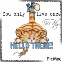 Hello there ! You only live once. Have a nice day animált GIF