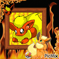 firefox GIF animata
